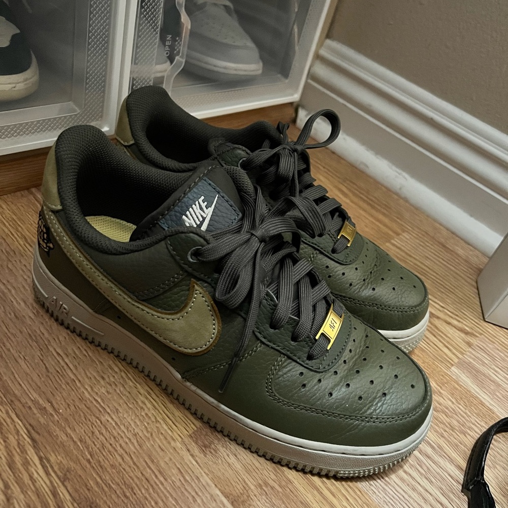 Air Force 1 turtle